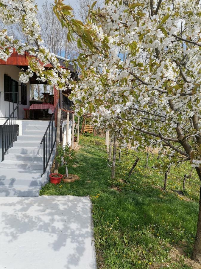 Villa Marijana Вараждинске Топлице Екстериор снимка