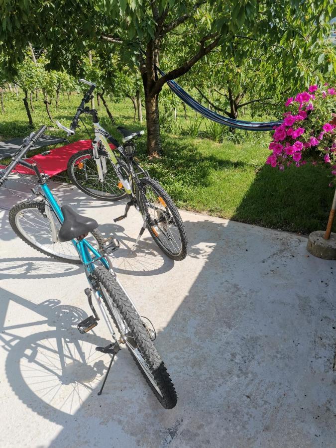 Villa Marijana Вараждинске Топлице Екстериор снимка
