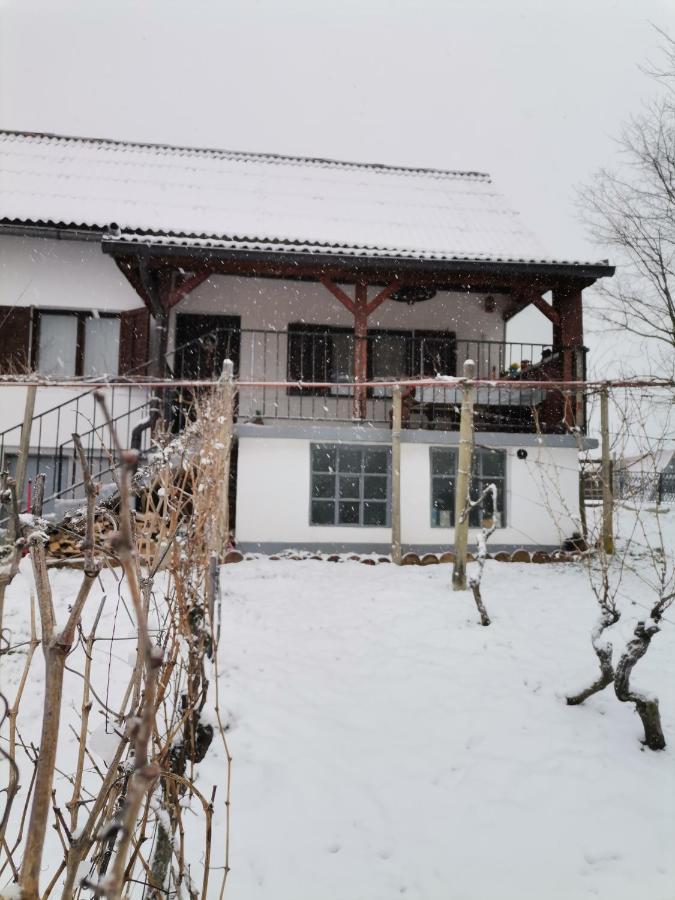 Villa Marijana Вараждинске Топлице Екстериор снимка