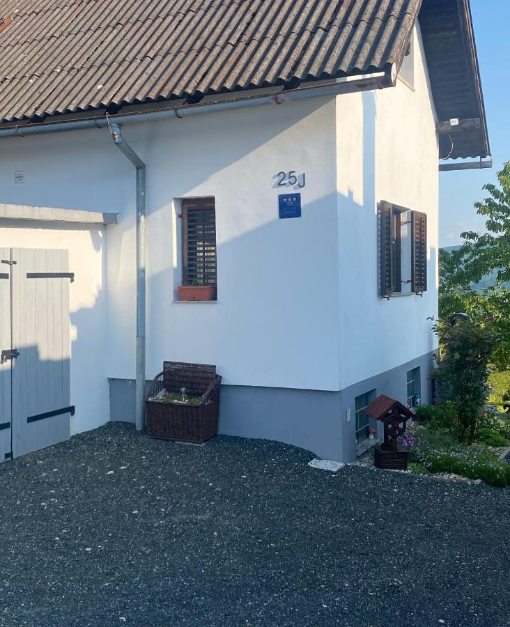 Villa Marijana Вараждинске Топлице Екстериор снимка